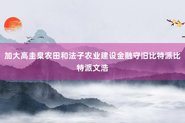 加大高圭臬农田和法子农业建设金融守旧比特派比特派文浩