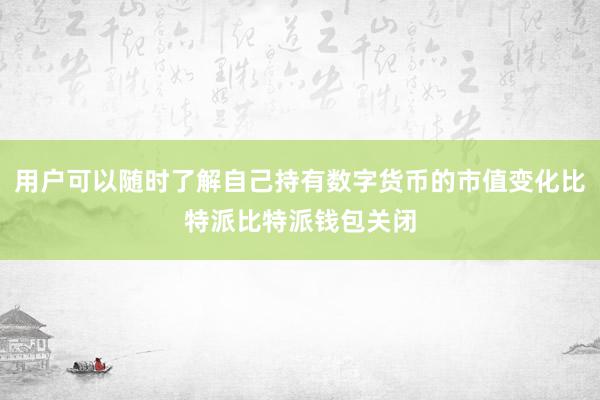 用户可以随时了解自己持有数字货币的市值变化比特派比特派钱包关闭