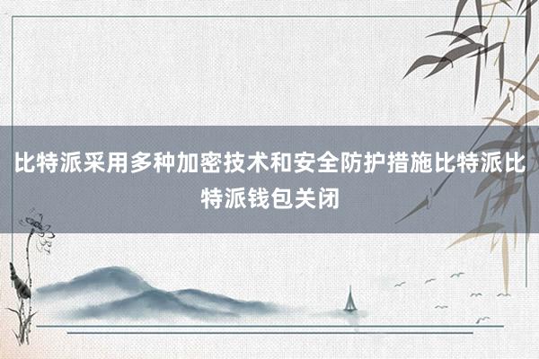 比特派采用多种加密技术和安全防护措施比特派比特派钱包关闭