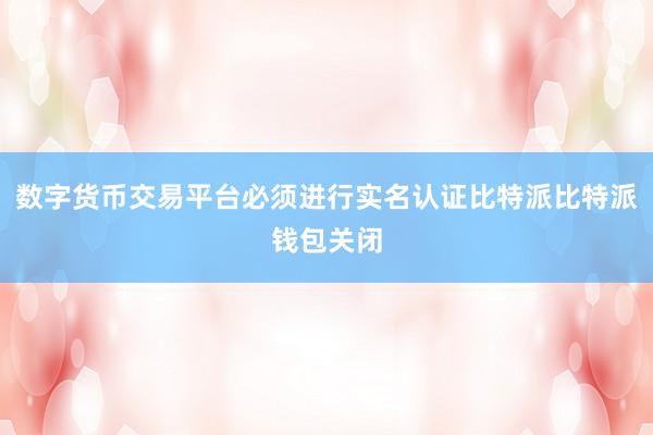 数字货币交易平台必须进行实名认证比特派比特派钱包关闭