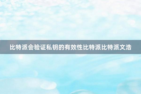 比特派会验证私钥的有效性比特派比特派文浩