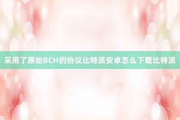 采用了原始BCH的协议比特派安卓怎么下载比特派