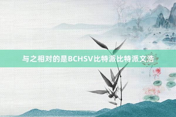 与之相对的是BCHSV比特派比特派文浩