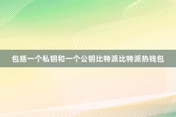 包括一个私钥和一个公钥比特派比特派热钱包