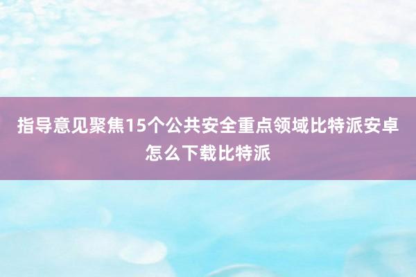 指导意见聚焦15个公共安全重点领域比特派安卓怎么下载比特派