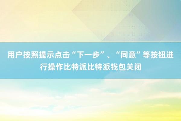 用户按照提示点击“下一步”、“同意”等按钮进行操作比特派比特派钱包关闭