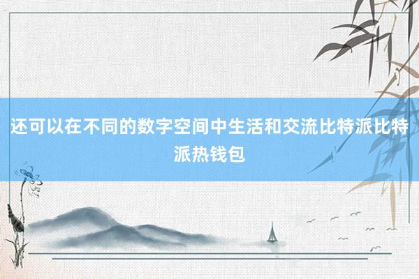 还可以在不同的数字空间中生活和交流比特派比特派热钱包