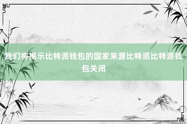 我们将揭示比特派钱包的国家来源比特派比特派钱包关闭