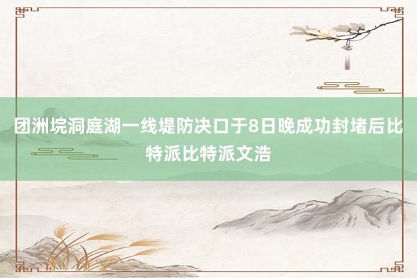 团洲垸洞庭湖一线堤防决口于8日晚成功封堵后比特派比特派文浩