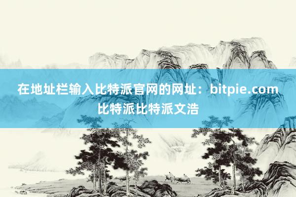 在地址栏输入比特派官网的网址：bitpie.com比特派比特派文浩