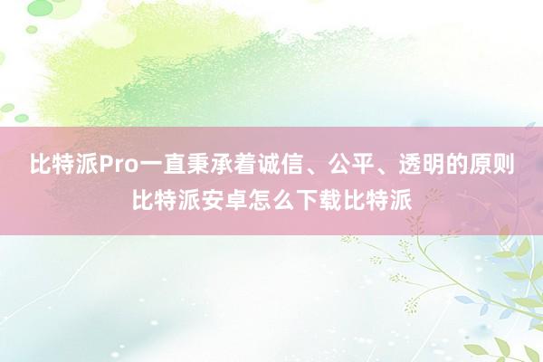 比特派Pro一直秉承着诚信、公平、透明的原则比特派安卓怎么下载比特派