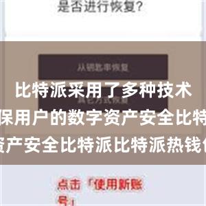 比特派采用了多种技术手段来确保用户的数字资产安全比特派比特派热钱包