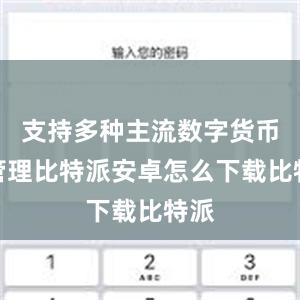 支持多种主流数字货币的管理比特派安卓怎么下载比特派