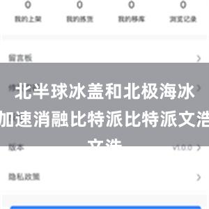 北半球冰盖和北极海冰加速消融比特派比特派文浩