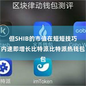 但SHIB的市值在短短技巧内速即增长比特派比特派热钱包