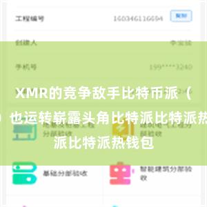 XMR的竞争敌手比特币派（BTC）也运转崭露头角比特派比特派热钱包