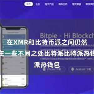 在XMR和比特币派之间仍然存在一些不同之处比特派比特派热钱包