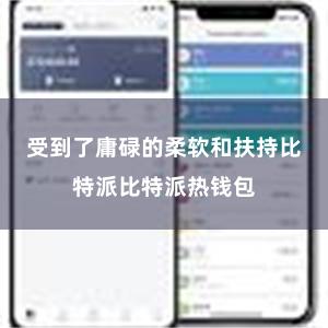 受到了庸碌的柔软和扶持比特派比特派热钱包