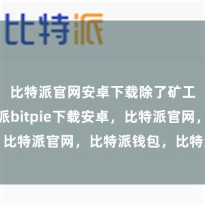 比特派官网安卓下载除了矿工除外比特派bitpie下载安卓，比特派官网，比特派钱包，比特派下载