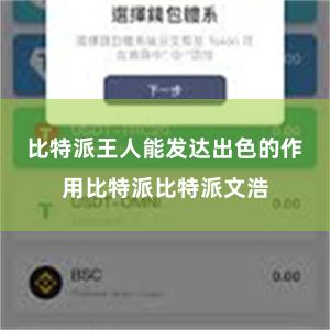 比特派王人能发达出色的作用比特派比特派文浩